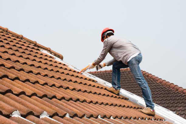 Best Roof Coating and Sealing  in Los Luceros, NM